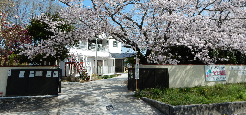 メインビジュアル