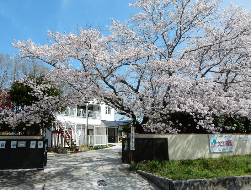 メインビジュアル